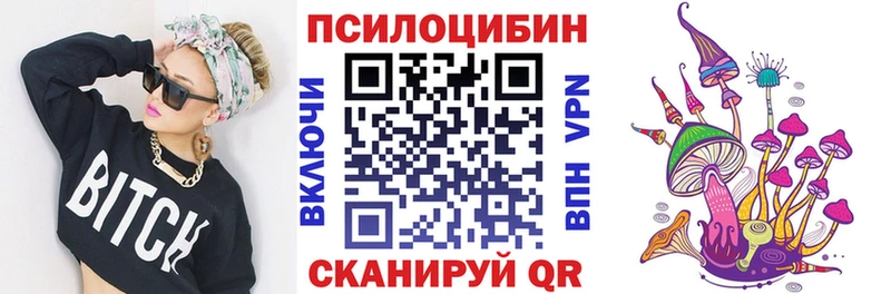 Псилоцибиновые грибы Cubensis  Дудинка 